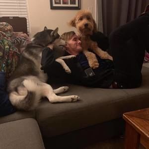 Meet your Posher, Joe